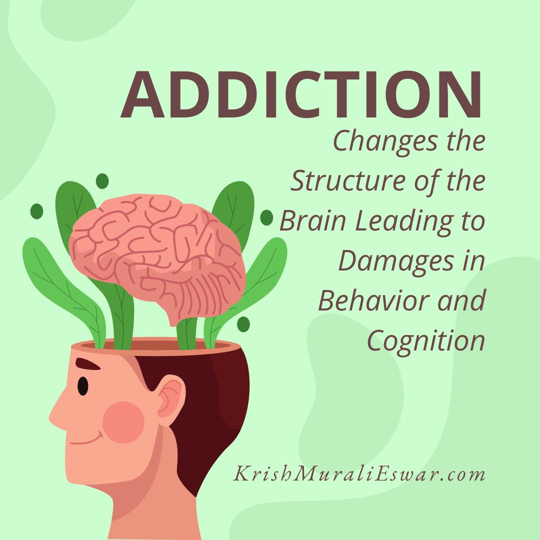 The Link Between Addiction And Neuroplasticity