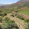 Tighedouine Cemetery, Stone Wall [1] (Tighedouine, Morocco, 2010)