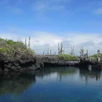 tourhub | Ecuador Galapagos Travels | 8 Days Galapagos Island Hopping in Santa Cruz and Isabela 