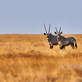 tourhub | Intrepid Travel | Namibia Discovery 