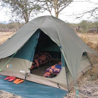 tourhub | Gracepatt Ecotours Kenya | 6-Day Tanzania Camping Safari: Lake Manyara, Serengeti, Ngorongoro Cater and Tarangire National Park from Arusha 