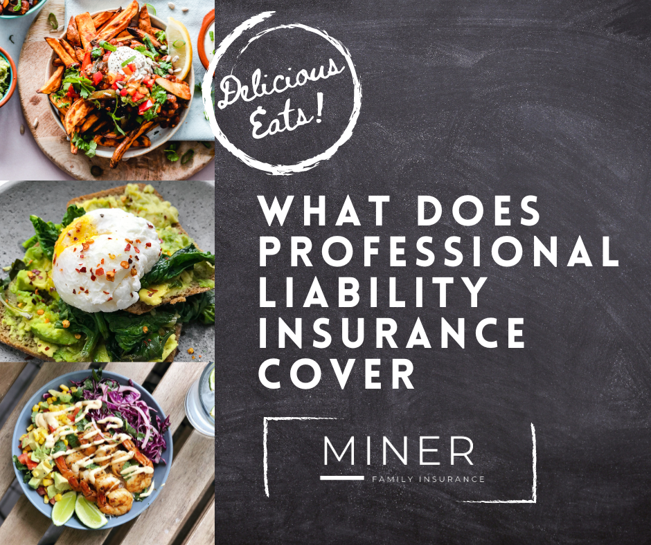 What does professional liability insurance cover