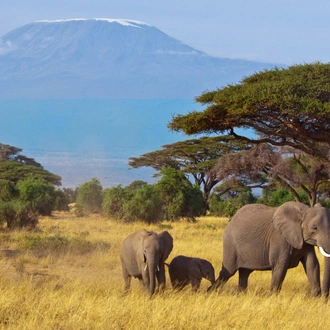 tourhub | Johnbow Tours and Travel | 3 Days Amboseli National Park Safari 