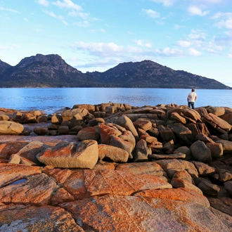 tourhub | AAT Kings | Tasting Tasmania & Flinders Island 