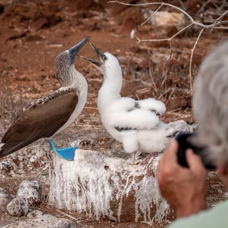 tourhub | Intrepid Travel | Grand Galapagos (Grand Queen Beatriz) 