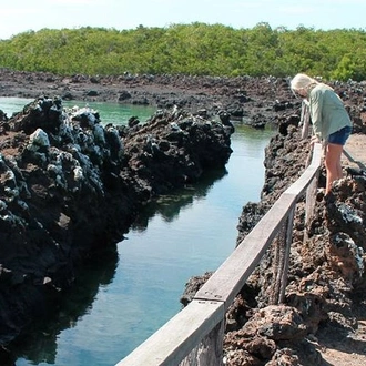 tourhub | BM Tours | 5 Days Galapagos Tour: Santa Cruz and Isabela Islands 