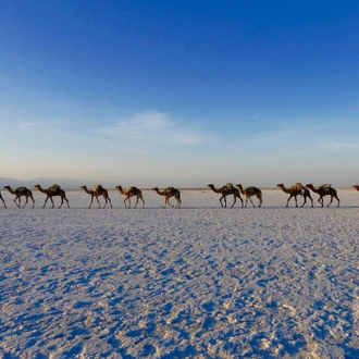 tourhub | GishAbay Ethiopia Tours | Danakil Depression Tour 