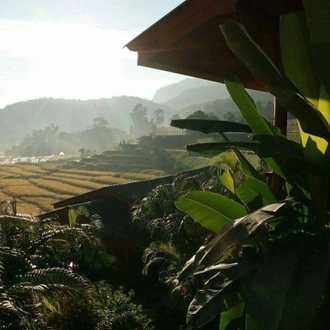 tourhub | The Tuk Tuk Club | A Tuk Tuk Adventure in Chiang Mai, Thailand 