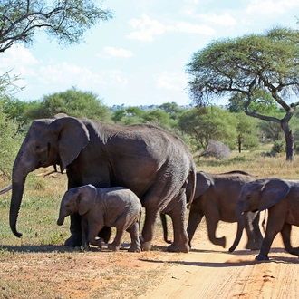 tourhub | Beach and Safari Holidays | Safari Serengeti Round Trip 