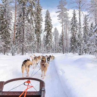tourhub | YellowWood Adventures | Lapland: A Winter Adventure 