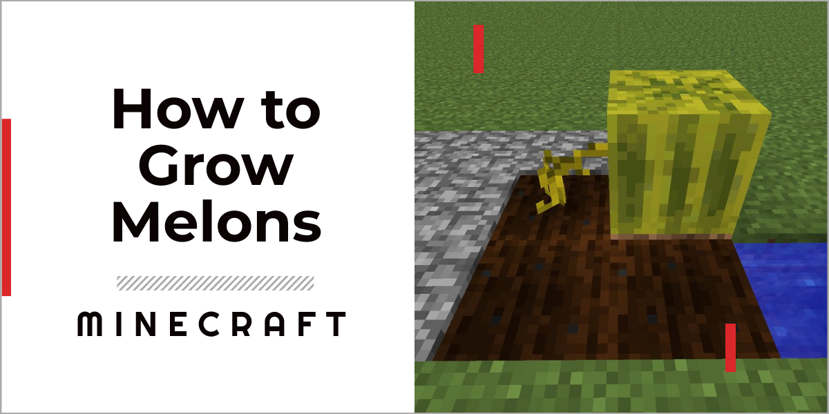 How To Grow Melons In Minecraft Start Your Own Melon Farm Gamegrinds