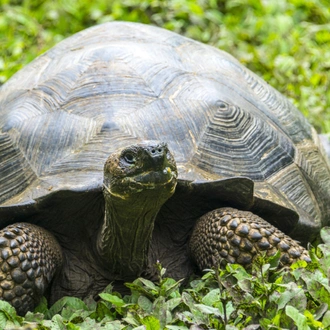 tourhub | Exodus Adventure Travels | Island Hopping in the Galapagos 