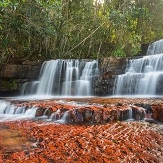 tourhub | Crooked Compass | Trails of Venezuela 