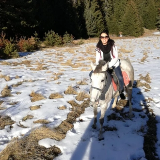 tourhub | Visit Bulgaria On | Private 2-Day Horse Riding Trip in Rila from Sofia 