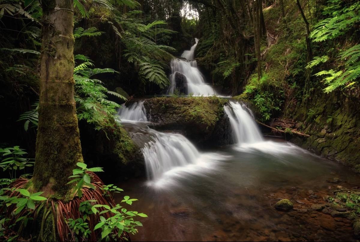 Big Island Waterfalls Adventure Day Tour from Kona