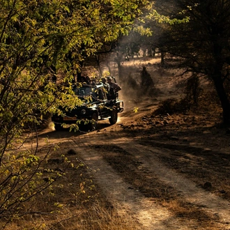 tourhub | Go Book Tours | Bandhavgarh Ranthambore Tiger Tour 