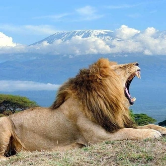 tourhub | Gracepatt Ecotours Kenya | From Nairobi: 2 Days Amboseli National Park Safari Package 