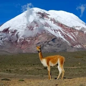 tourhub | Ecuador Galapagos Travels | Exploring Ecuador's Wonders 