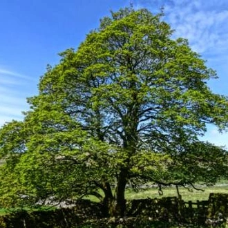 tourhub | Walkers' Britain | The Full Pennine Way 