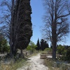 Grave Sites 12,  Borgel Jewish Cemetery at Tunis, Tunisia, Chrystie Sherman, 7/19/16