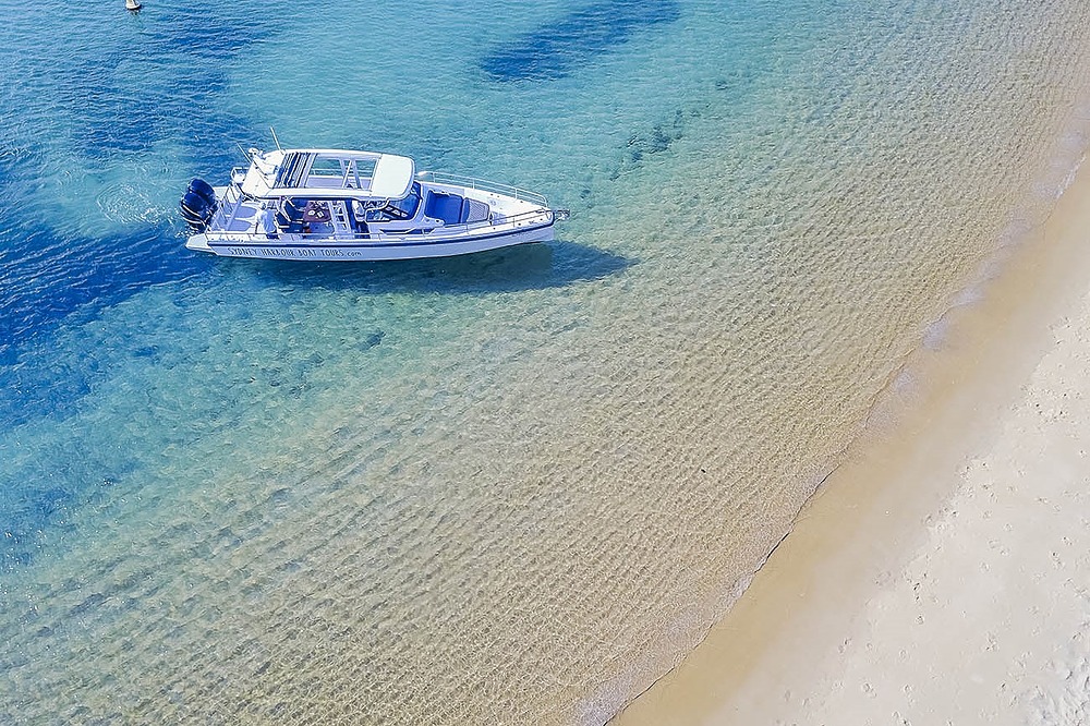 Sydney Icons, Bays, & Beaches Cruise