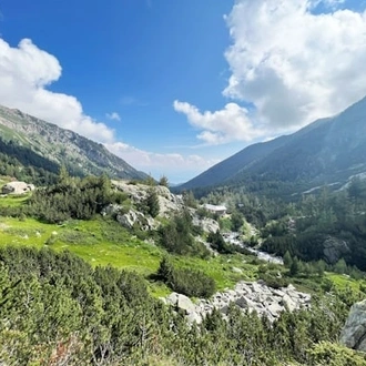 tourhub | Travel Editions | Alpine Wildflowers of Bulgaria Tour 