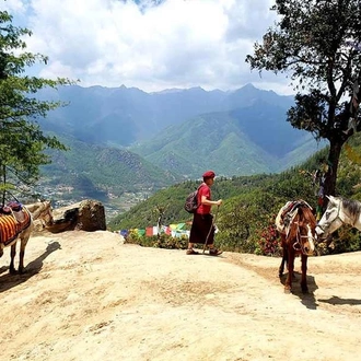 tourhub | Bhutan Acorn Tours & Travel | Wonders of Bhutan Incl. (3-Day) Gangtey Nature Trek 