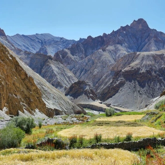 tourhub | Intrepid Travel | India: Trekking in Ladakh 