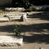 Tomb of Rabbi Ephraïm Aln Kaoua, Graves [6] (Tlemcen, Algeria, 2012)