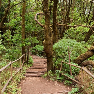 tourhub | Explore! | Canary Islands Walking - La Gomera and Tenerife 