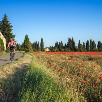 tourhub | Intrepid Travel | Cycle Provence 