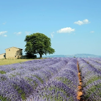 tourhub | Insight Vacations | Country Roads of France - Small Group 