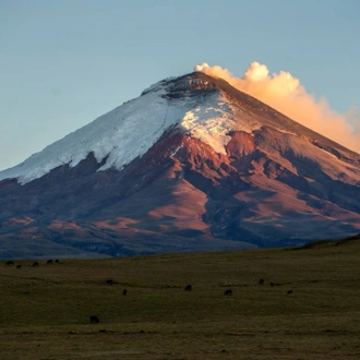 tourhub | Ecuador Galapagos Travels | 14 days Andean Cultures Ecuador 