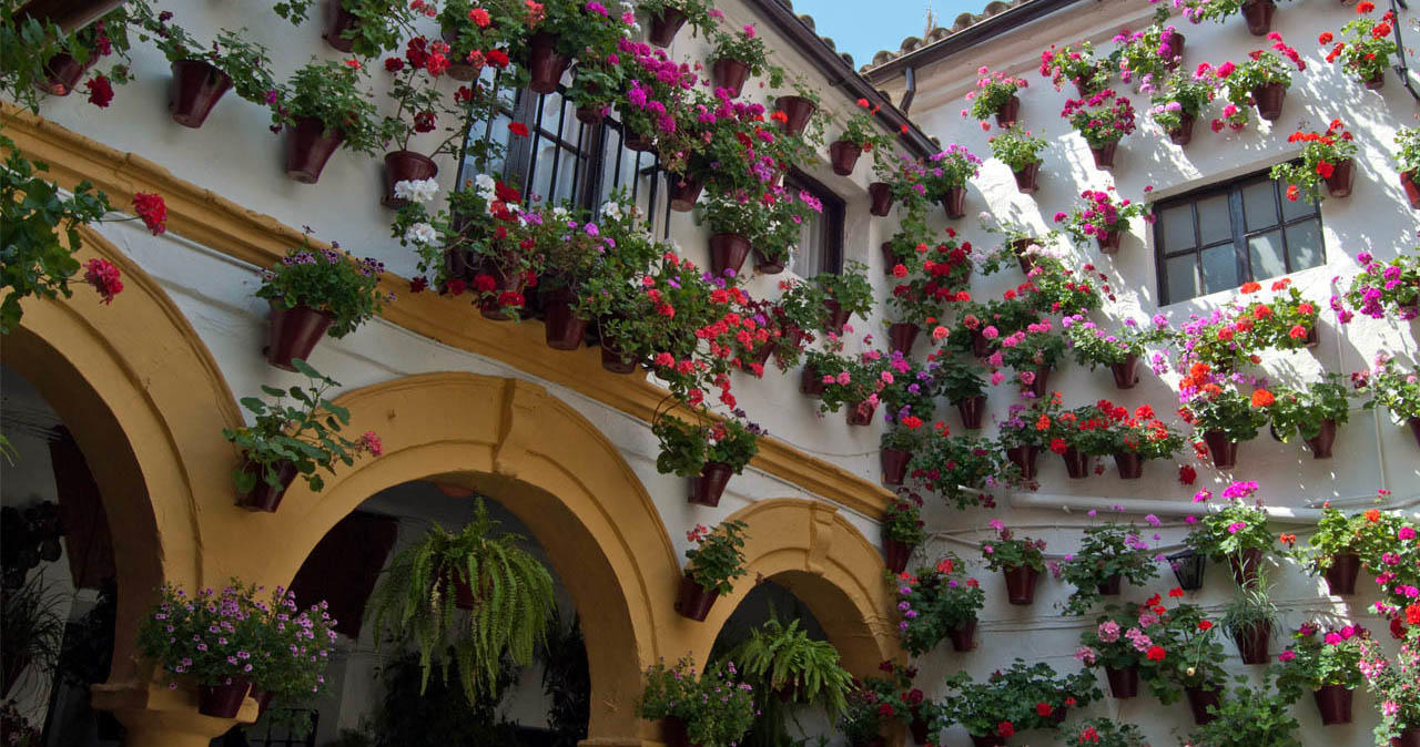 Guided Excursion to the Popular Courtyards of Cordoba - Accommodations in Córdoba