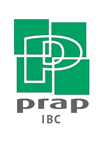 Représentation de la formation : Acteur PRAP IBC