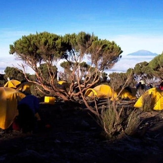 tourhub | Bamba Travel | Mount Kilimanjaro Bamba Trek (Machame Route) 9D/8N 