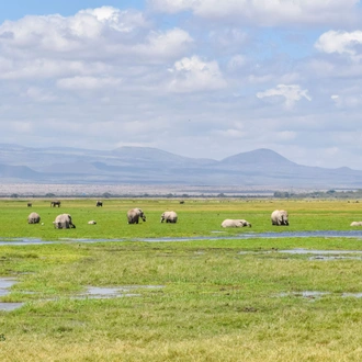 tourhub | Divulge Adventures | 3 Days 2 Nights Amboseli National Park 