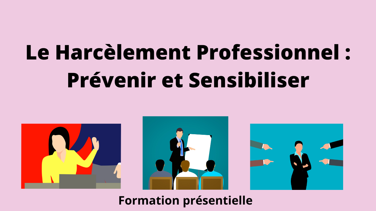 Représentation de la formation : Formation Le Harcèlement Professionnel : Prévenir et Sensibiliser