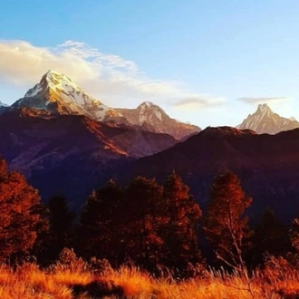 tourhub | Sherpa Expedition & Trekking | Ghorepani Poon Hill Trek 5 Days 