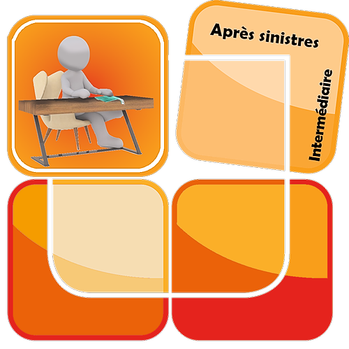 Représentation de la formation : Décontamination du mobilier bois