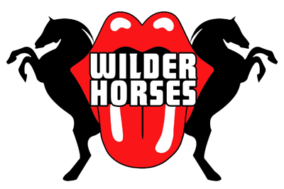 BT - Wilder Horses (Rolling Stones Tribute)  - January 13, 2024, doors 6:30pm