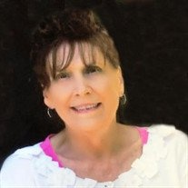 Dorothy Shields-Lawless Profile Photo