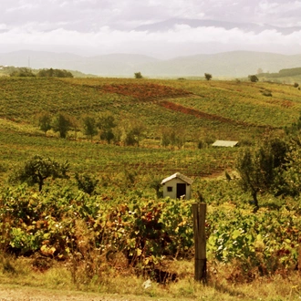 tourhub | Exodus Adventure Travels | Cycling the Camino de Santiago 