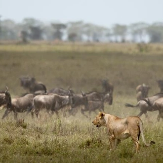 tourhub | Alaitol Safari | Tanzania Active Family Adventure 