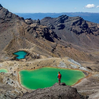 tourhub | Intrepid Travel | New Zealand Uncovered (Northbound)  