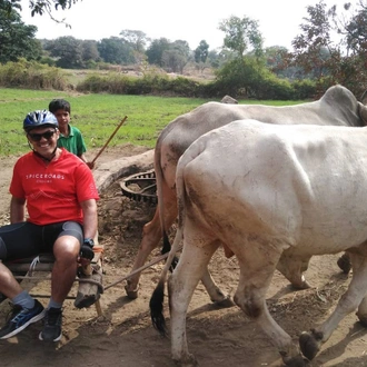 tourhub | SpiceRoads Cycling | South India Heritage by Bicycle 