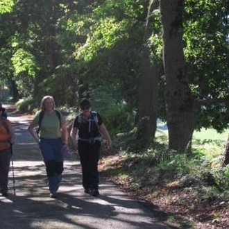 tourhub | UTracks | Guided Camino Walk - Sarria to Santiago 