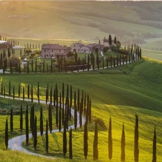 tourhub | Stile Italiano Tours | Wine Trails and Culinary Delights of Tuscany 