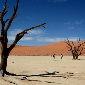 tourhub | Chameleon Safaris Namibia | 3 Day Sossusvlei Budget Camping Safari 