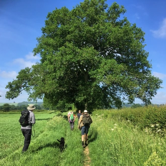 tourhub | Exodus Adventure Travels | Best of the Cotswolds Self-Guided Walk 